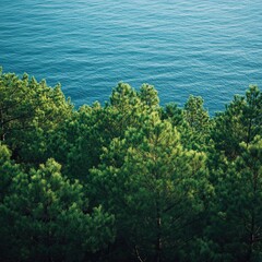 tranquil pine forest, the green needles of the trees standing out against the blue backdrop of the sea.