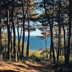 Obraz premium pine forest with a view of the sea. The quiet, towering trees provide a sense of peace,