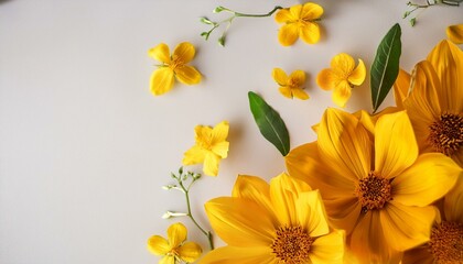 Obraz premium Yellow flowers on light backdrop, copy space. Generated image