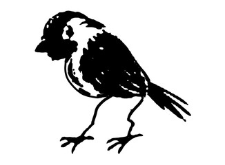 black and white vector image of silhouette Wild animal portrait, beauty, body line art. For use as a brochure template or for use in a web design image