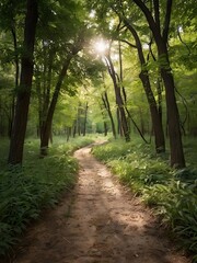 Obraz premium A serene path through a forest or field, symbolizing surrendering the year to God and walking in His plan.