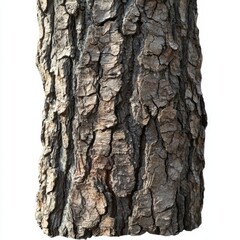 Fototapeta premium Detailed Natural Texture of Tree Bark Close-Up Showcasing Rustic Organic Patterns and Rich Earthy Tones in Nature