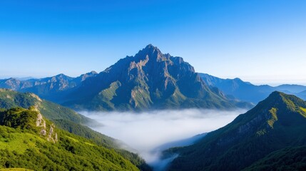 Fototapeta premium Majestic mountain landscape with lush greenery and misty valleys.