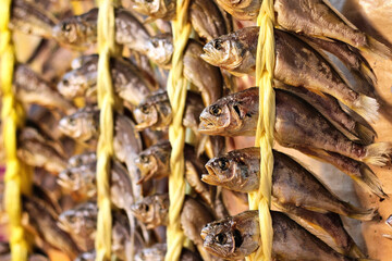 Close-Up of Dried Fish Tied in Rows With Bright Yellow Twine at Market Display in South Korea