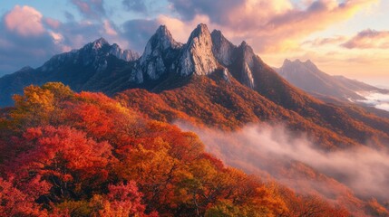 The tranquil beauty of Bukhansan, its peaks rising through a sea of autumn colors and early morning mist.