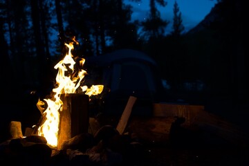 campfire in the forest