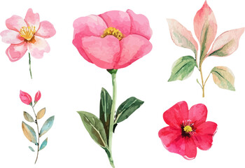 set of flowers isolated