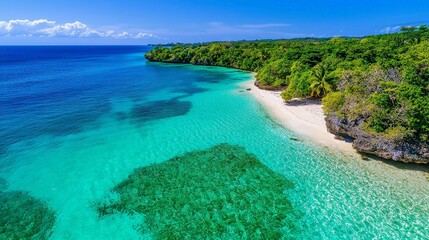 Obraz premium Vibrant Aerial View of Coral Reef System