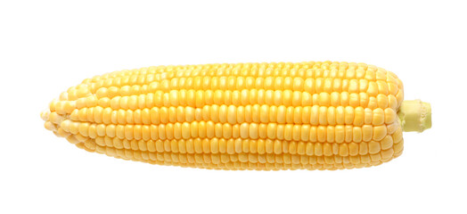 Fresh corn isolated on white background. Clipping path.