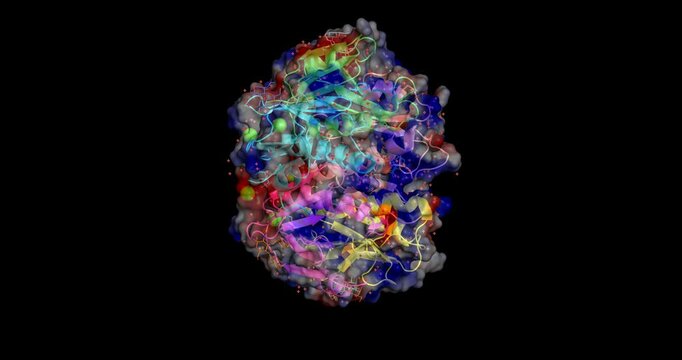 Cholera toxin B-pentamer, Vibrio cholerae, 3D molecule electrostatic surface, spinning, 4K