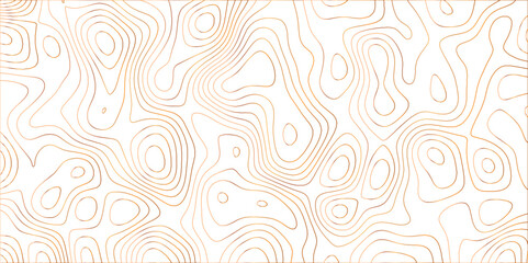 Topographic canyon geometric map relief texture with curved layers and shadow. abstract White background with a beautiful pattern, Topographic contour lines vector map seamless pattern vector.