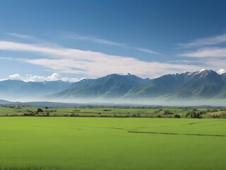 Simple green field