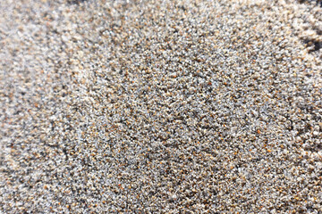 White sand closeup look