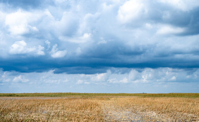 Cloudy skies above the open Florida Everglades grasslands