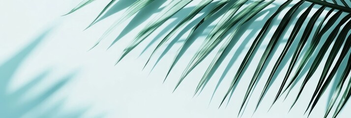 Obraz premium Tropical palm leaves shadow, turquoise background, minimalist summer aesthetic, soft light, abstract nature pattern, coastal vibes, pastel teal tones, sunlight through foliage, dreamy beach atmosphere