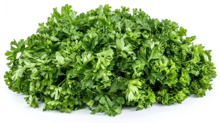 Obraz premium Fresh Green Parsley Bunch Isolated On White Background