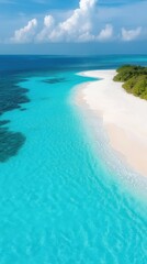 Fototapeta premium Tranquil Seaside with Gentle Waves and Warm Sunlight