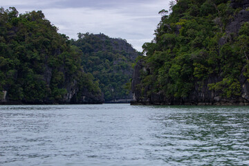 the river in the forest and mountains in asia