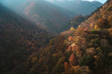 紅葉　山