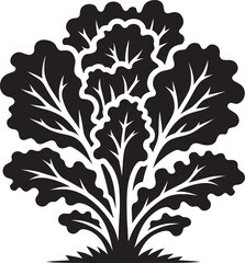 Lettuce leaf plant silhouette vector illustration isolated on a white background