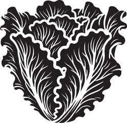 Lettuce leaf plant silhouette vector illustration isolated on a white background