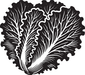 Lettuce leaf plant silhouette vector illustration isolated on a white background