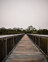 wooden bridge in the forest