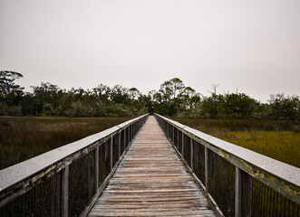 wooden bridge in the forest