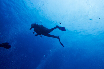 diving in bali