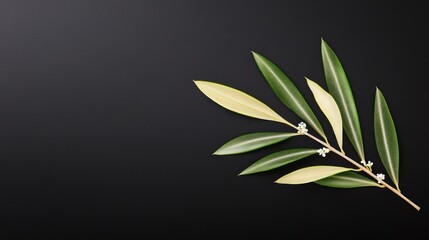 Fototapeta premium A branch with green and yellow leaves, featuring small white flowers.