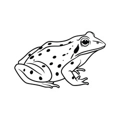 Naklejka premium reptiles- frog line and fill art vector illustration