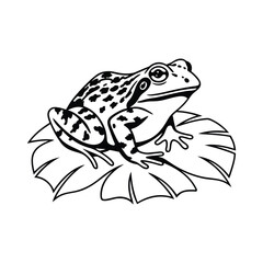 reptiles- frog line and fill art vector illustration