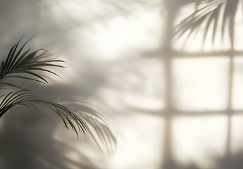Obraz premium Serene Palm Shadows: A Study in Light and Shadow on a Wall