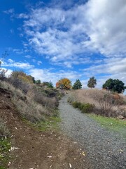 Fototapeta premium Come to me