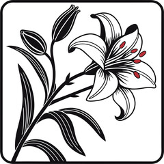 black and white flower