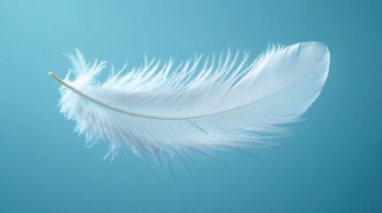 Obraz premium A Gentle White Feather Floating in a Soft Blue Background Highlighting the Texture and Serenity of Nature