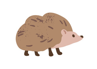 Hedgehog profile. Cute fluffy forest animal with spiky needles, side view. Charming adorable sweet small character. Kids childish flat vector illustration isolated on white background