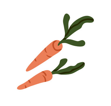 orange carrots with green leaves clip art preview