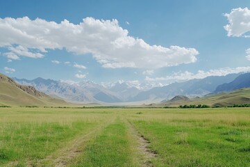 Expansive Green Valley with Mountain Range and Blue Sky Under Fluffy Clouds