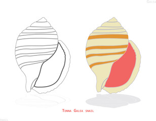 illustration of an snail background.
