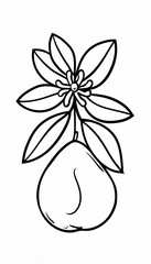 A simple line drawing of an avocado with its stem and leaves. Suitable for coloring activities or educational resources about fruits and plants.