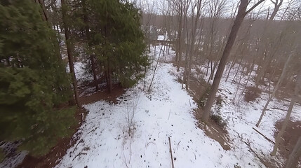 Snow-Covered Forest Pathway Surrounded by Bare Trees in Winter