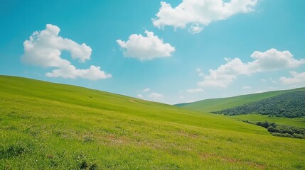 Obraz premium Lush Green Landscape with Blue Sky and Fluffy Clouds Under Bright Sunlight