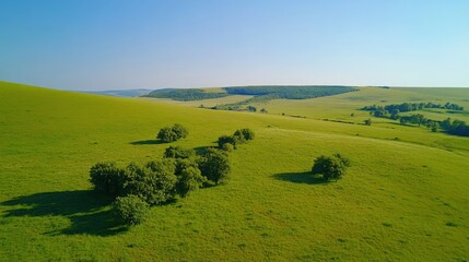 Obraz premium Expansive Green Meadow Landscape with Sparse Trees Under Clear Blue Sky
