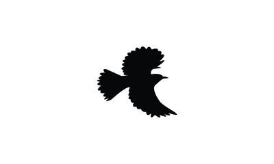 Flying Bulbul Bird Silhouette Design  And Vector Illustration. 