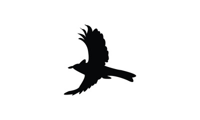 Fototapeta premium Flying Bulbul Bird Silhouette Design And Vector Illustration. 