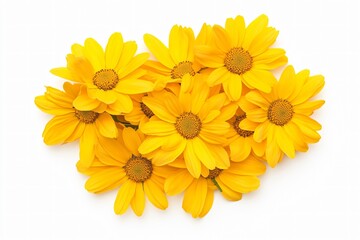 Naklejka premium Overhead View of Yellow Daisies and Petals in an Elegant Pattern on White Background