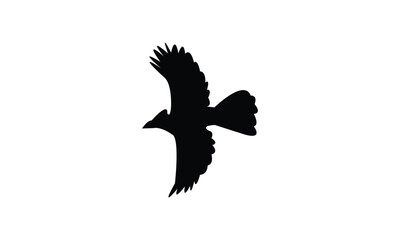 Flying Bulbul Bird Silhouette Design  And Vector Illustration. 