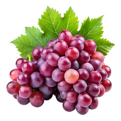 fresh red grapes with leaves isolated
