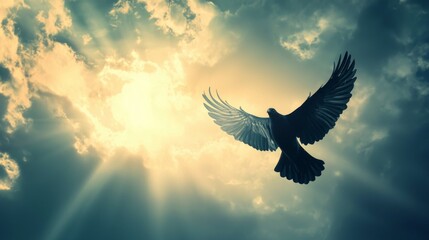 Majestic Bird in Flight with Sunlight Beaming Through Clouds at Dusk